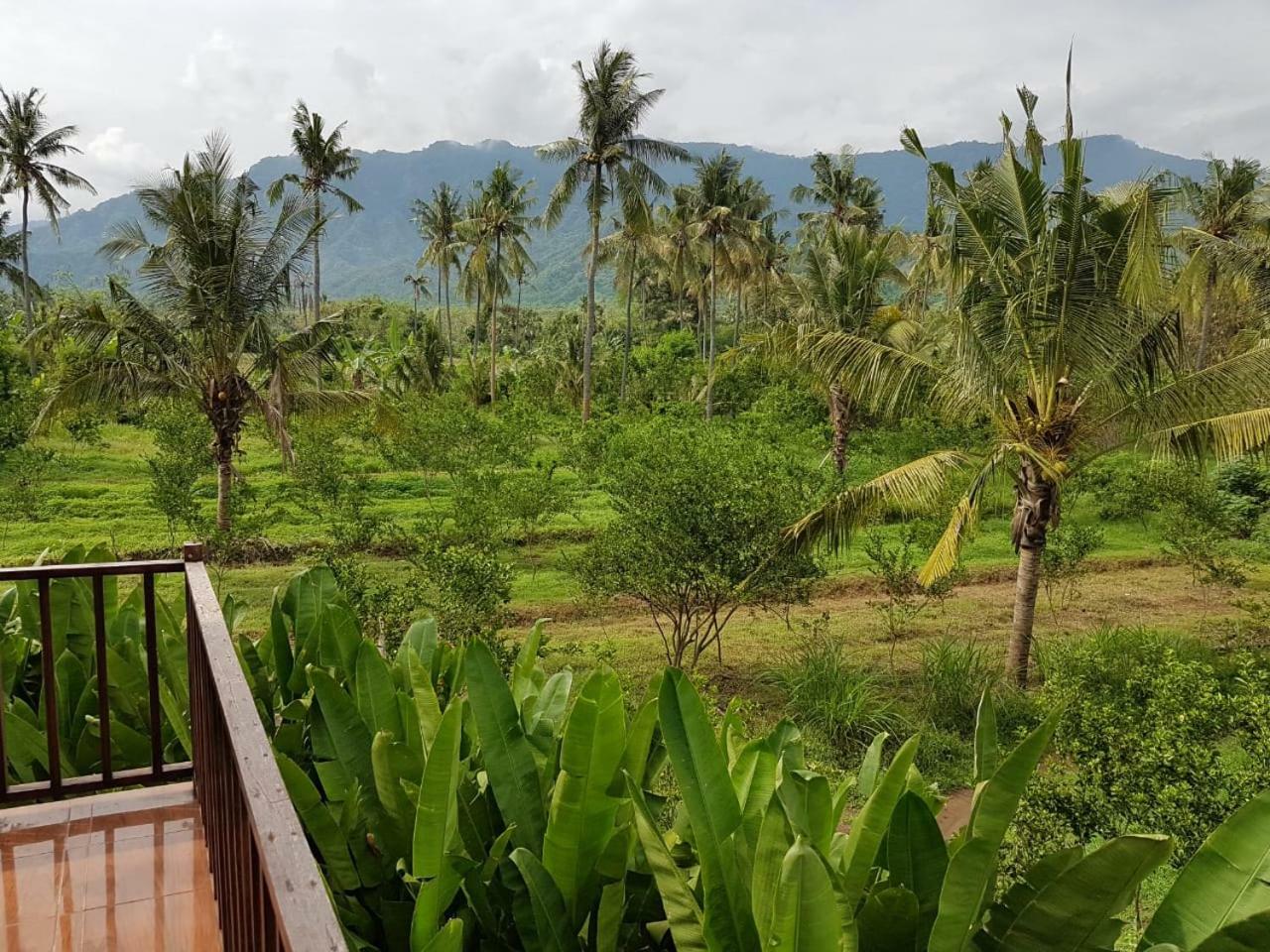 Buana Ecofarm Ecolodge Grokgak Экстерьер фото